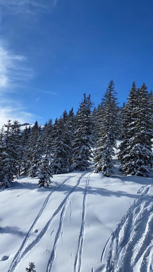 Apartmán Alpin 14 Kaprun